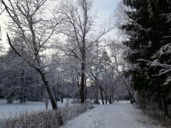 парк Сергиевка в Петергофе зимний пейзаж